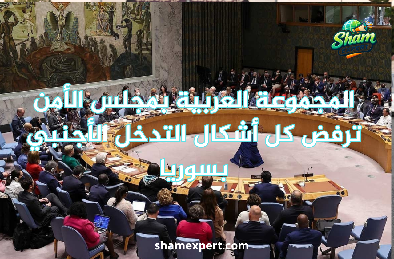 المجموعة العربية بمجلس الأمن ترفض كل أشكال التدخل الأجنبي بسوريا