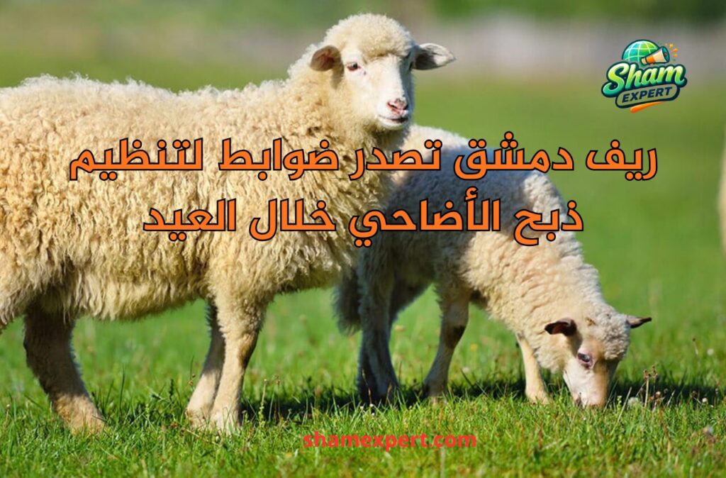 ريف دمشق تصدر ضوابط لتنظيم ذبح الأضاحي خلال العيد