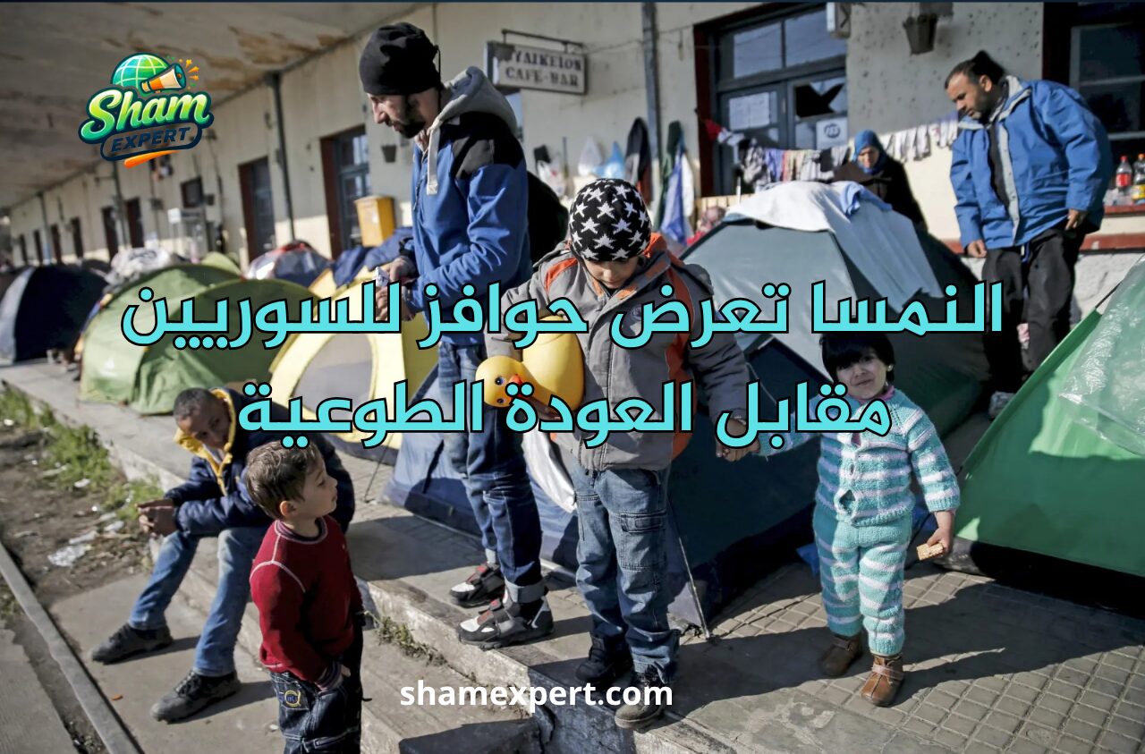 النمسا تعرض حوافز للسوريين مقابل العودة الطوعية