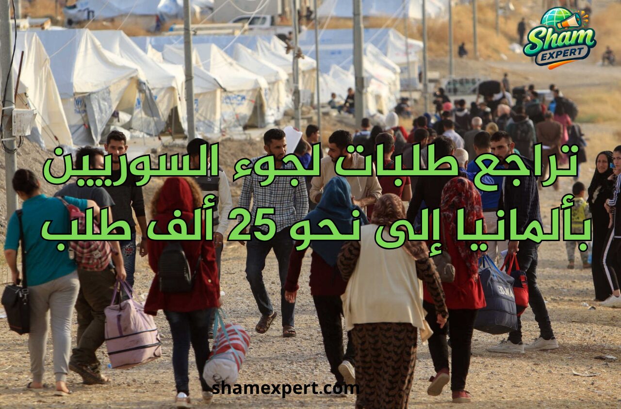 تراجع طلبات لجوء السوريين بألمانيا إلى نحو 25 ألف طلب خلال عام 2025