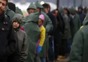 انخفاض معدل البطالة بين اللاجئين
