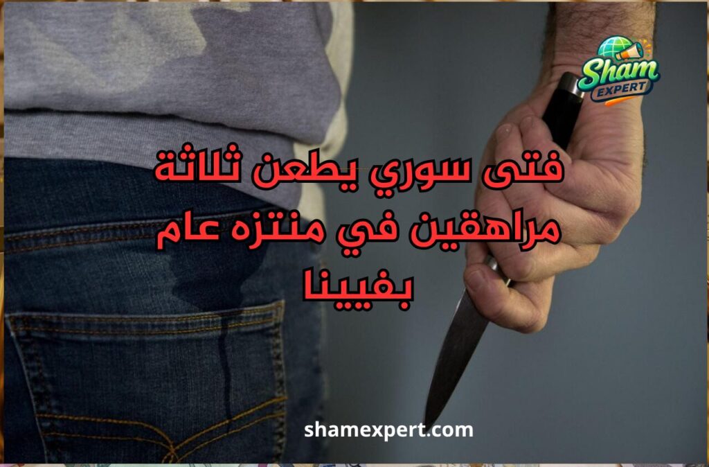 فتى سوري يطعن ثلاثة مراهقين في منتزه عام بفيينا