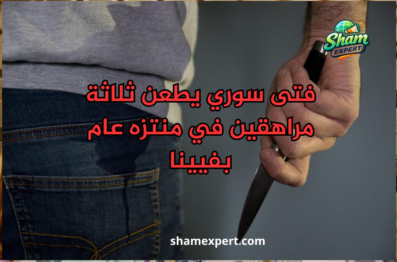 فتى سوري يطعن ثلاثة مراهقين في منتزه عام بفيينا